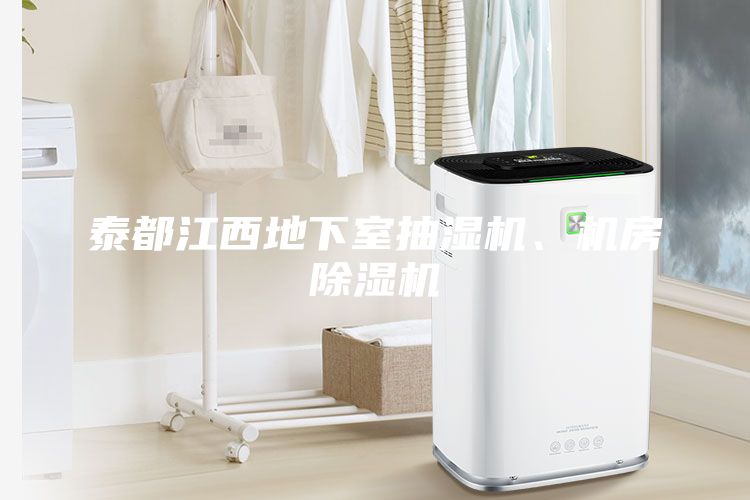 泰都江西地下室抽濕機、機房除濕機