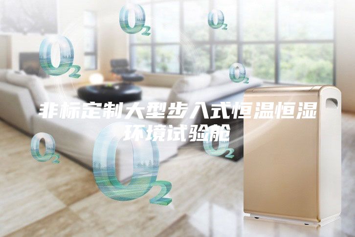 非標定制大型步入式恒溫恒濕環境試驗艙