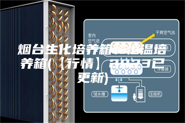 煙臺(tái)生化培養(yǎng)箱和恒溫培養(yǎng)箱(【行情】2023已更新)