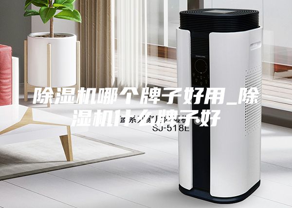 除濕機(jī)哪個(gè)牌子好用_除濕機(jī)什么牌子好