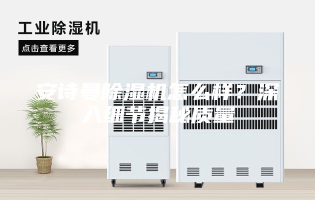 安詩曼除濕機怎么樣？深入細節揭秘質量