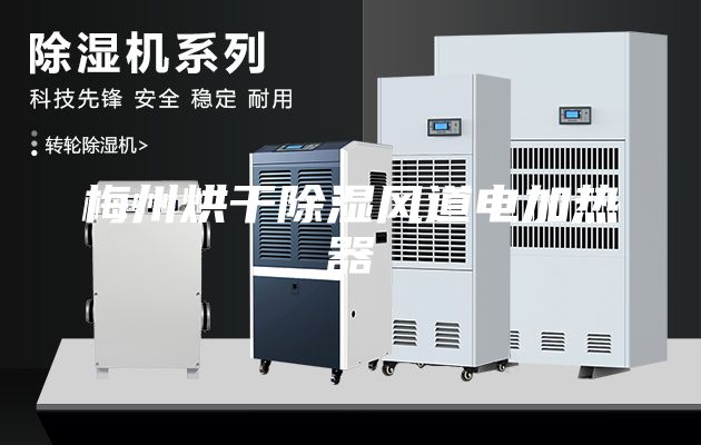 梅州烘干除濕風(fēng)道電加熱器