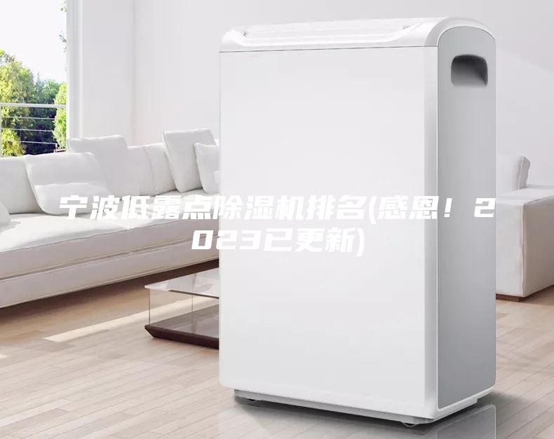 寧波低露點除濕機排名(感恩！2023已更新)