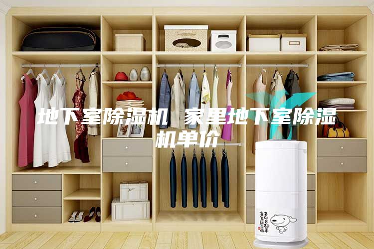 地下室除濕機(jī) 家里地下室除濕機(jī)單價(jià)