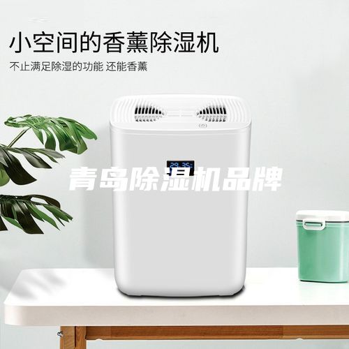 青島除濕機(jī)品牌