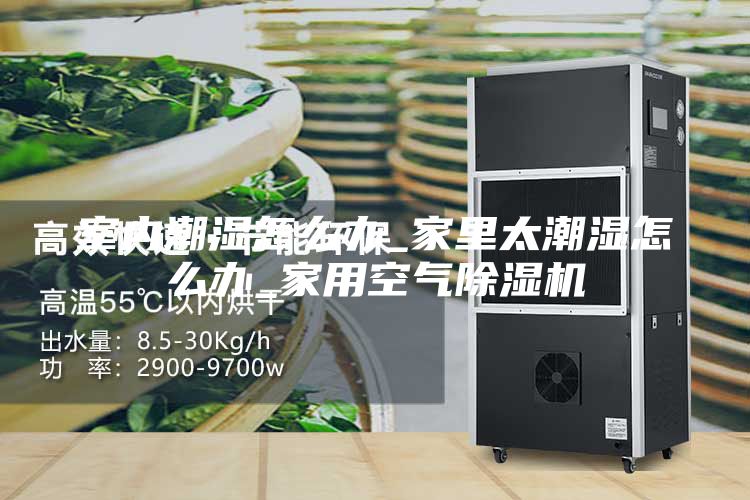 室內(nèi)潮濕怎么辦_家里太潮濕怎么辦_家用空氣除濕機(jī)