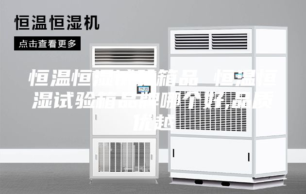 恒溫恒濕試驗箱品 恒溫恒濕試驗箱品牌哪個好,品質(zhì)優(yōu)越
