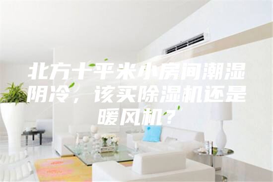 北方十平米小房間潮濕陰冷，該買除濕機還是暖風機？