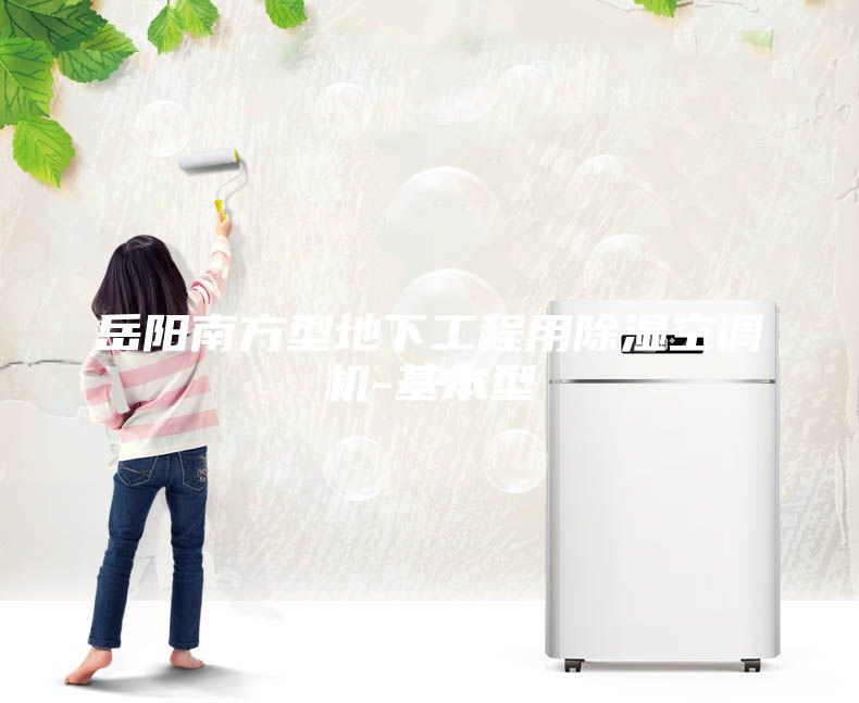 岳陽南方型地下工程用除濕空調(diào)機(jī)-基本型