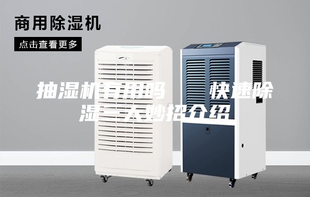 抽濕機(jī)有用嗎   快速除濕三大妙招介紹