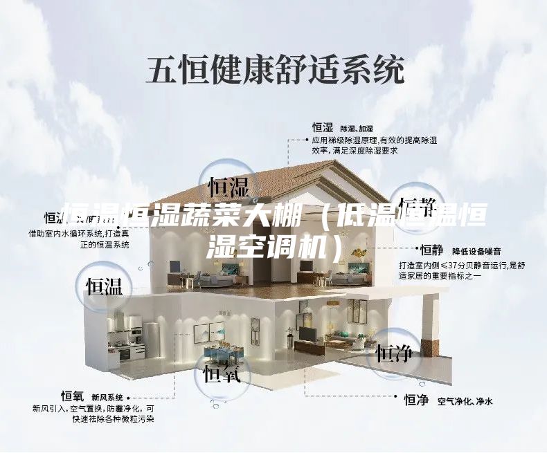恒溫恒濕蔬菜大棚（低溫恒溫恒濕空調機）