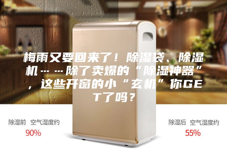 梅雨又要回來了！除濕袋、除濕機……除了賣爆的“除濕神器”，這些開窗的小“玄機”你GET了嗎？