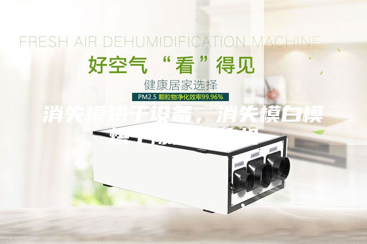 消失模烘干設(shè)備，消失模白模烘干除濕一體機(jī)