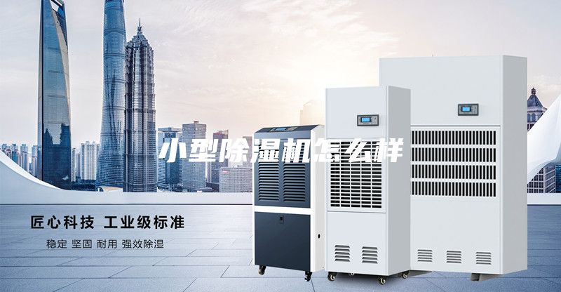 小型除濕機怎么樣