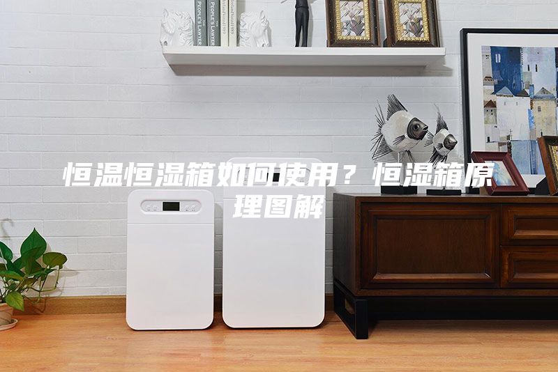 恒溫恒濕箱如何使用？恒濕箱原理圖解