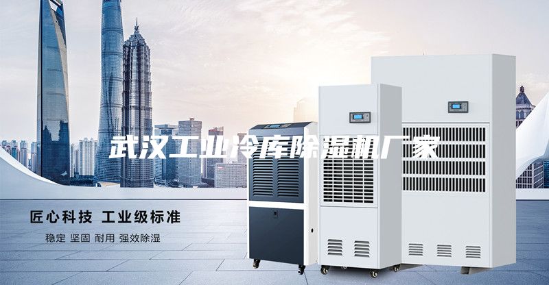 武漢工業(yè)冷庫除濕機(jī)廠家