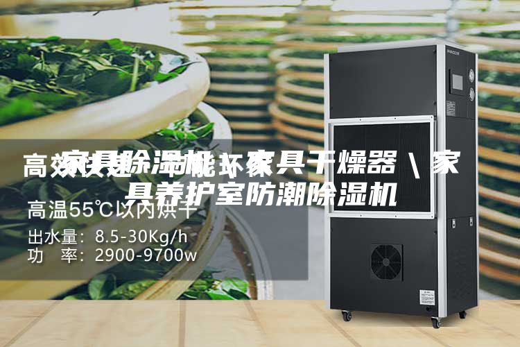 家具除濕機(jī)＼家具干燥器＼家具養(yǎng)護(hù)室防潮除濕機(jī)