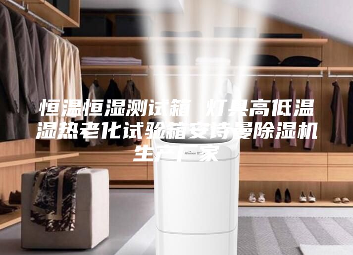 恒溫恒濕測試箱 燈具高低溫濕熱老化試驗箱安詩曼除濕機(jī)生產(chǎn)廠家