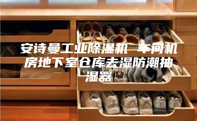 安詩曼工業(yè)除濕機 車間機房地下室倉庫去濕防潮抽濕器