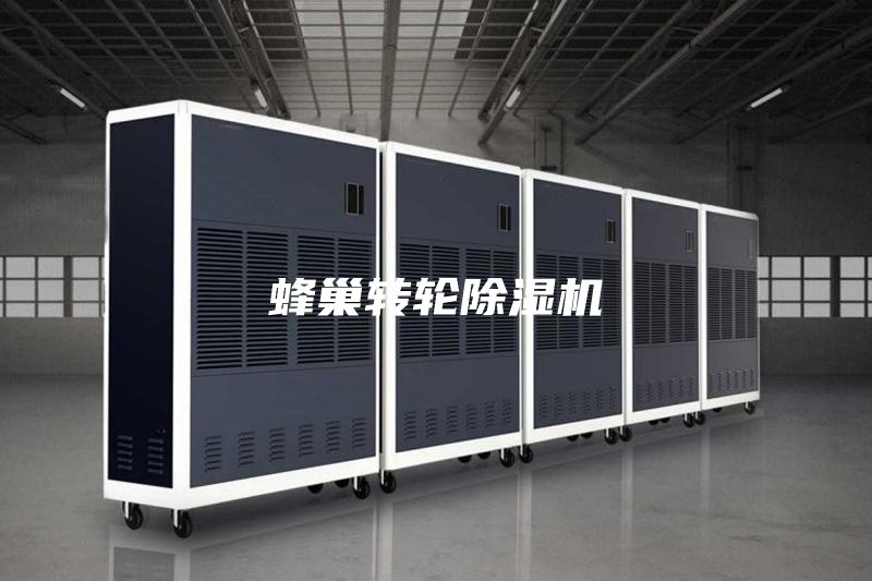 蜂巢轉(zhuǎn)輪除濕機