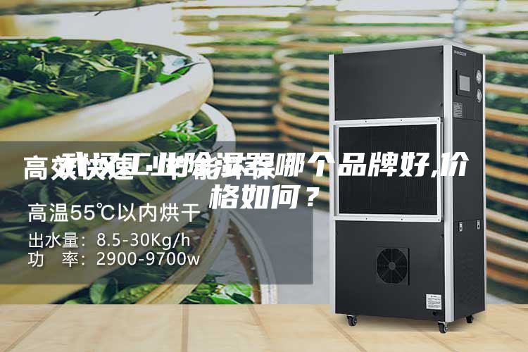 武漢工業除濕器哪個品牌好,價格如何？