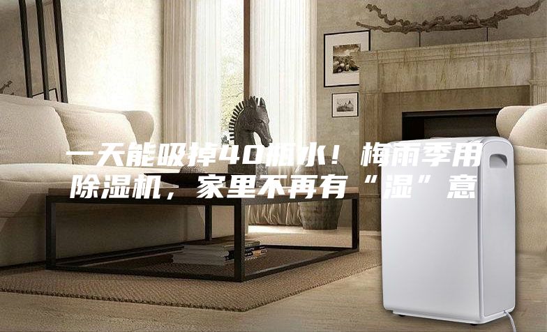一天能吸掉40瓶水！梅雨季用除濕機(jī)，家里不再有“濕”意