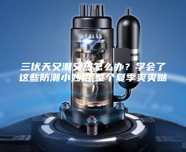 三伏天又潮又熱怎么辦？學(xué)會(huì)了這些防潮小妙招,整個(gè)夏季爽爽噠!