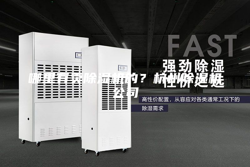 哪里有賣除濕機的？杭州除濕機公司