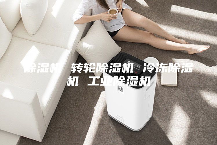 除濕機 轉輪除濕機 冷凍除濕機 工業(yè)除濕機