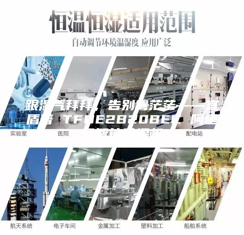 跟濕氣拜拜，告別霧茫?！硕芷?TFDE2B20BEC 阿里云智能除濕機