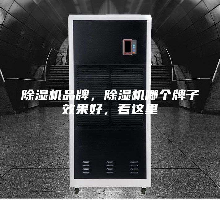 除濕機品牌，除濕機哪個牌子效果好，看這里