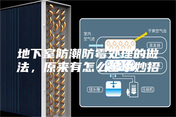 地下室防潮防霉處理的做法，原來有怎么多小妙招
