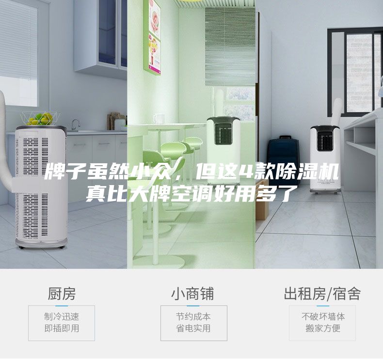 牌子雖然小眾，但這4款除濕機真比大牌空調好用多了