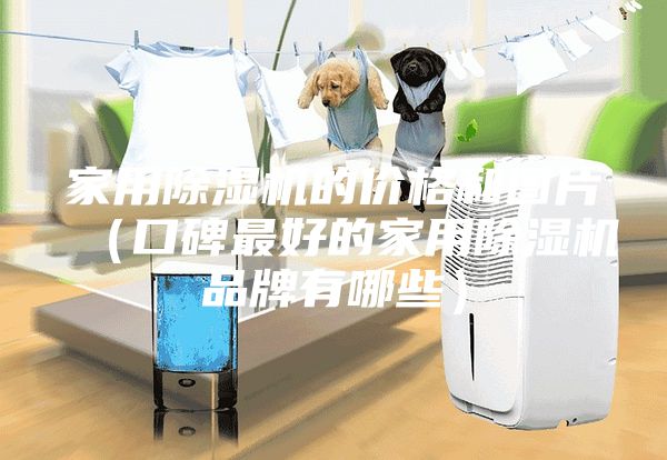 家用除濕機的價格和圖片（口碑最好的家用除濕機品牌有哪些）