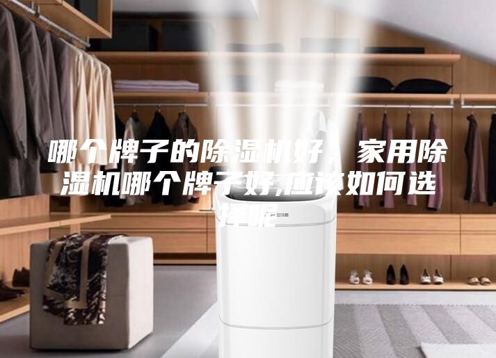 哪個牌子的除濕機好，家用除濕機哪個牌子好,應該如何選擇呢