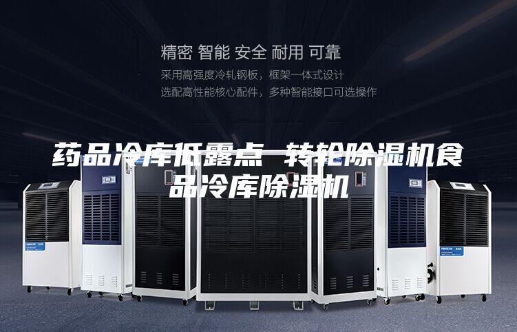 藥品冷庫低露點 轉輪除濕機食品冷庫除濕機
