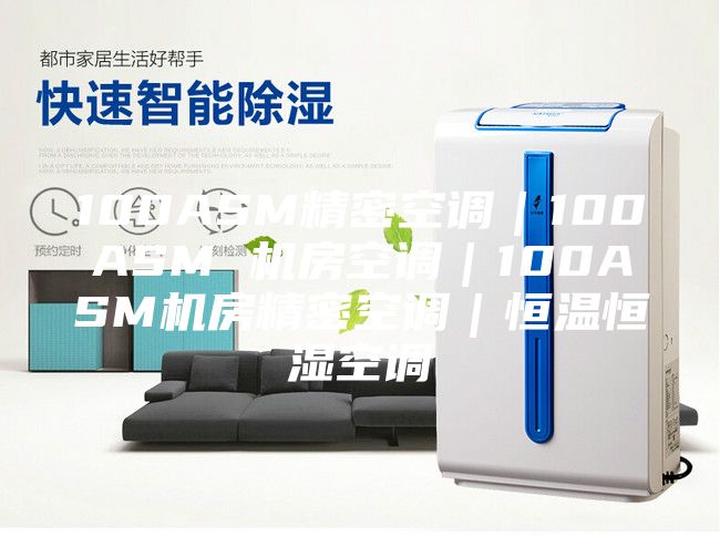 100ASM精密空調(diào)｜100ASM 機房空調(diào)｜100ASM機房精密空調(diào)｜恒溫恒濕空調(diào)