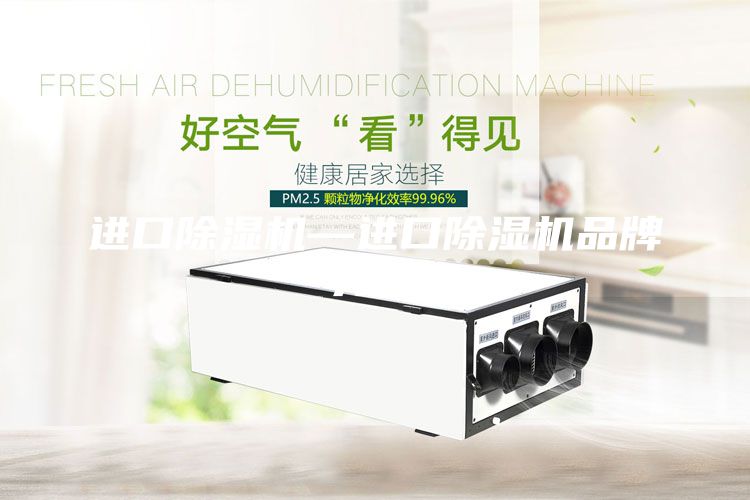 進(jìn)口除濕機(jī)—進(jìn)口除濕機(jī)品牌介紹