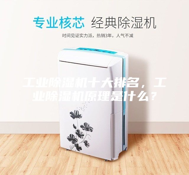 工業(yè)除濕機(jī)十大排名，工業(yè)除濕機(jī)原理是什么？