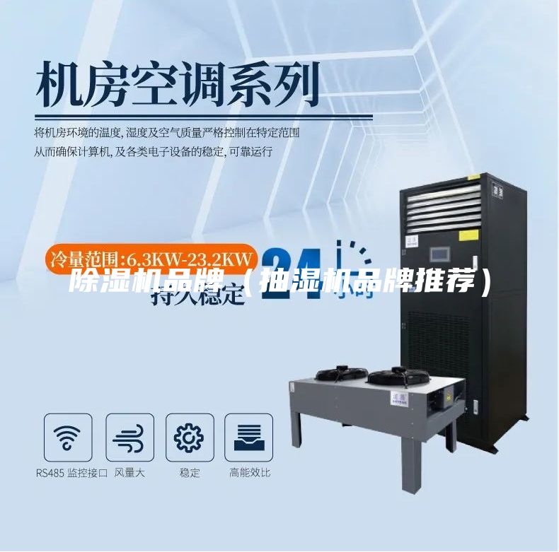 除濕機(jī)品牌（抽濕機(jī)品牌推薦）
