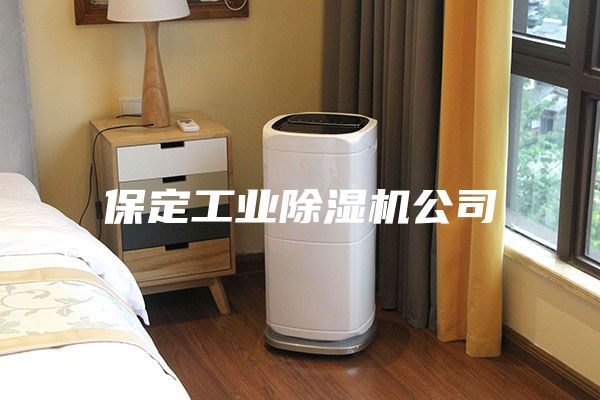 保定工業(yè)除濕機(jī)公司