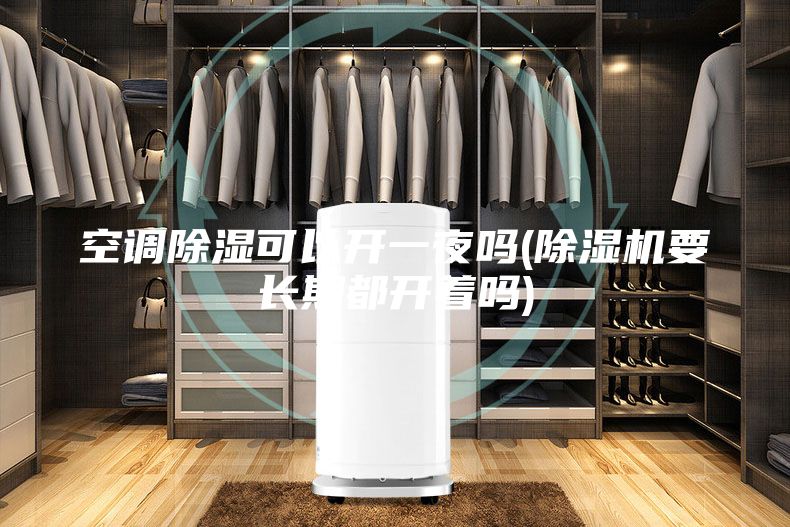 空調除濕可以開一夜嗎(除濕機要長期都開著嗎)