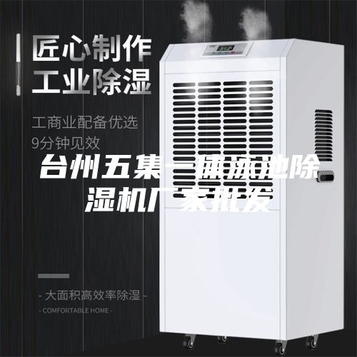 臺(tái)州五集一體泳池除濕機(jī)廠家批發(fā)