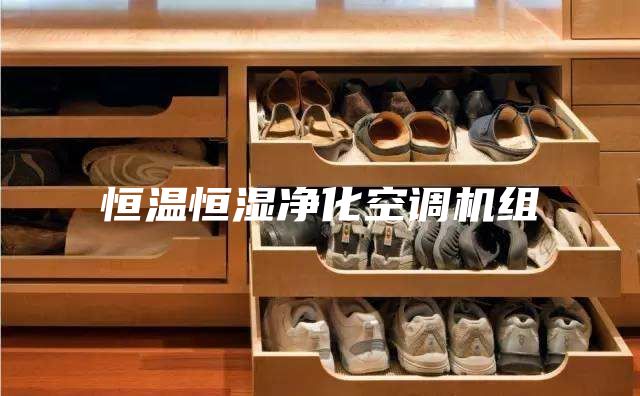 恒溫恒濕凈化空調機組
