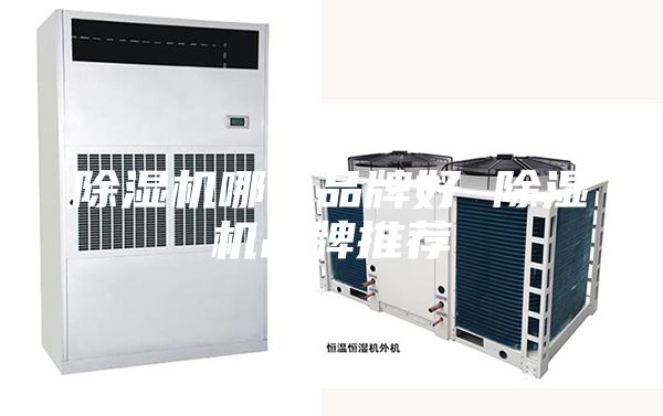 除濕機(jī)哪個(gè)品牌好 除濕機(jī)品牌推薦