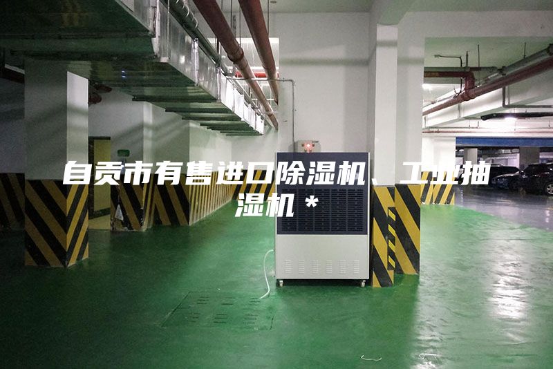 自貢市有售進(jìn)口除濕機(jī)、工業(yè)抽濕機(jī)＊