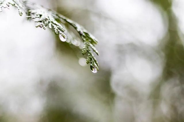 空氣濕度大帶來的危害有哪些，你知道嗎？