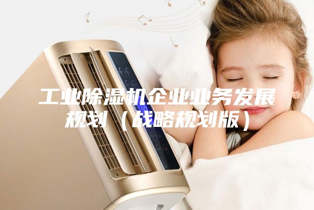 工業(yè)除濕機企業(yè)業(yè)務(wù)發(fā)展規(guī)劃（戰(zhàn)略規(guī)劃版）