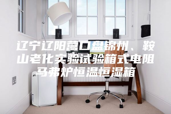 遼寧遼陽營口盤錦州、鞍山老化實驗試驗箱式電阻馬弗爐恒溫恒濕箱