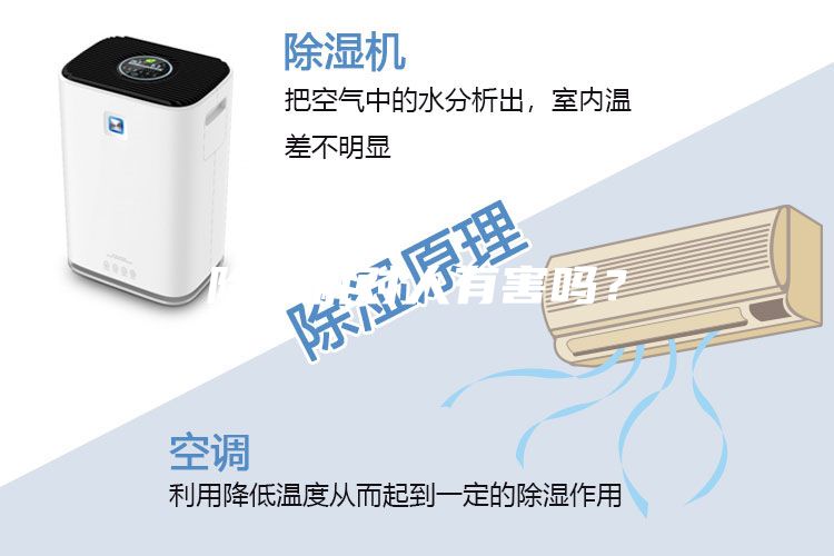 除濕機(jī)對人有害嗎？